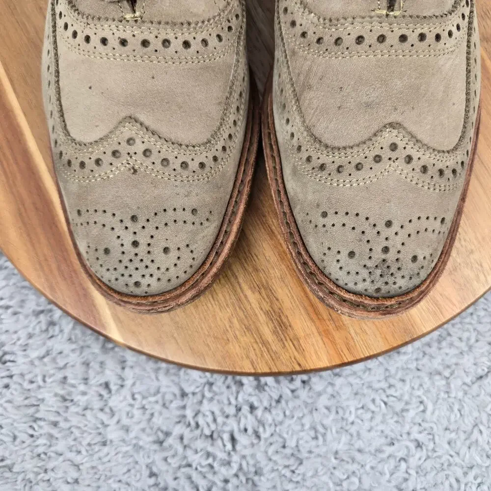 Allen Edmonds wingtip bundle
